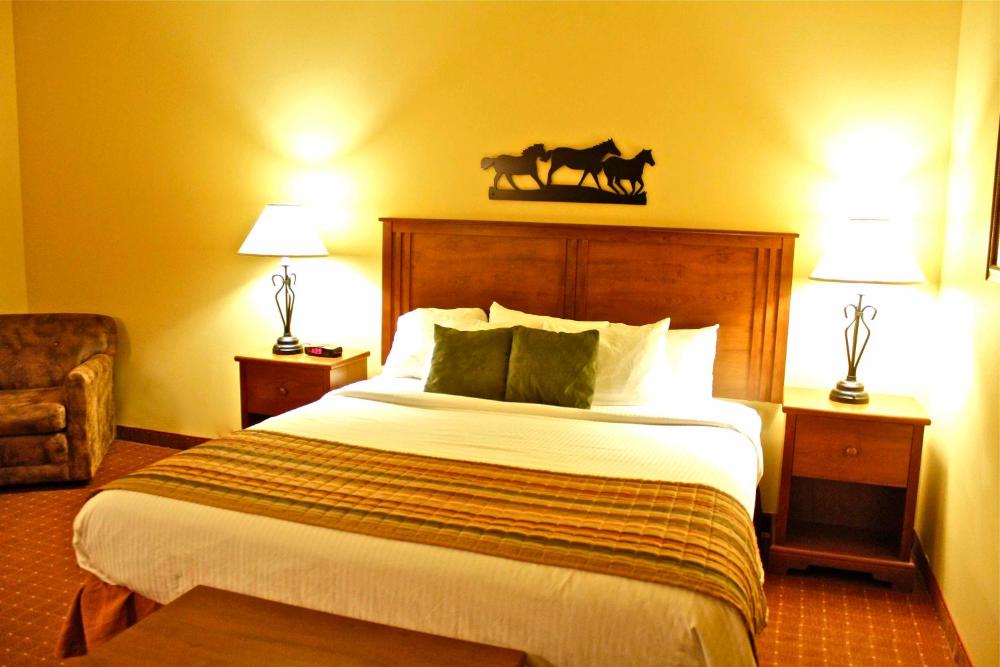 Deluxe King Suite - Disability Access interior